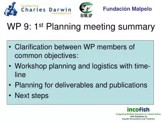WP 9: 1 st Planning meeting summary