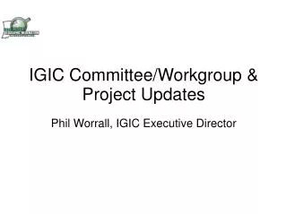 IGIC Committee/Workgroup &amp; Project Updates Phil Worrall, IGIC Executive Director