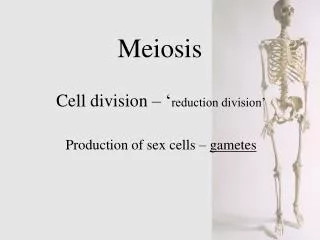 Meiosis