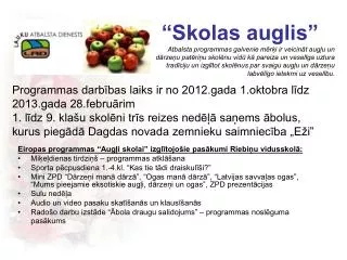 skolas auglis