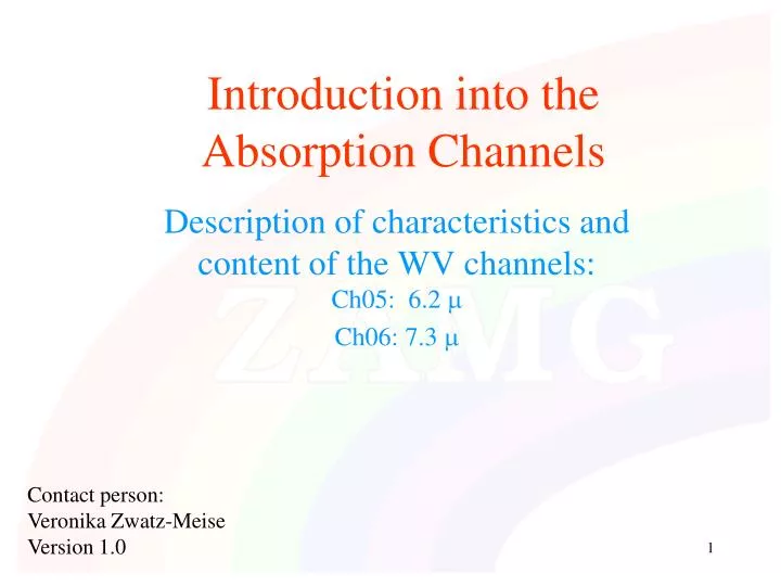 introduction into the absorption channels