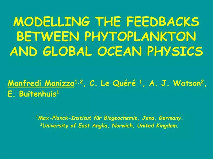 modelling the feedbacks between phytoplankton and global ocean physics