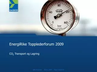 energirike topplederforum 2009
