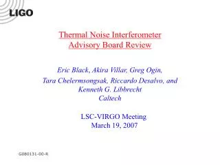 Thermal Noise Interferometer Advisory Board Review