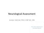 PPT - NEURO-APRENDIZAJE PowerPoint Presentation, free download - ID:229903