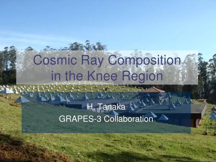 cosmic ray composition in the knee region