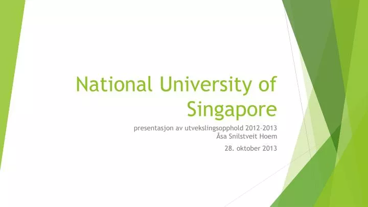 national u niversity of singapore
