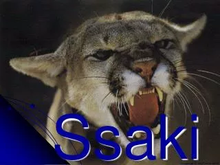 ssaki