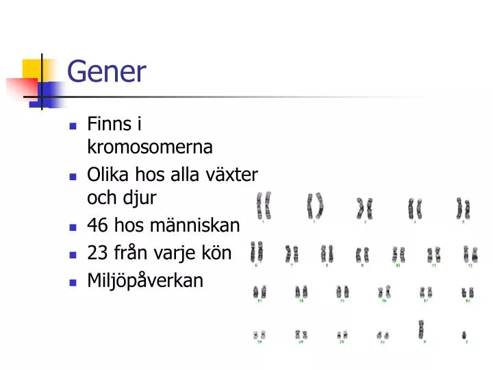 gener