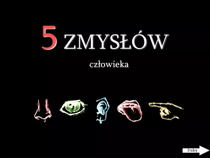 5 zmys w