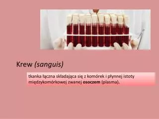 krew sanguis
