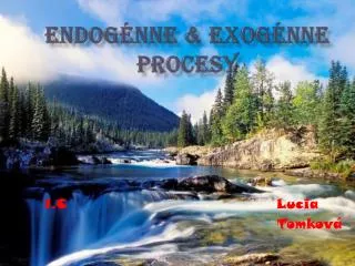 endog nne exog nne procesy