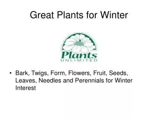 Great Plants for Winter
