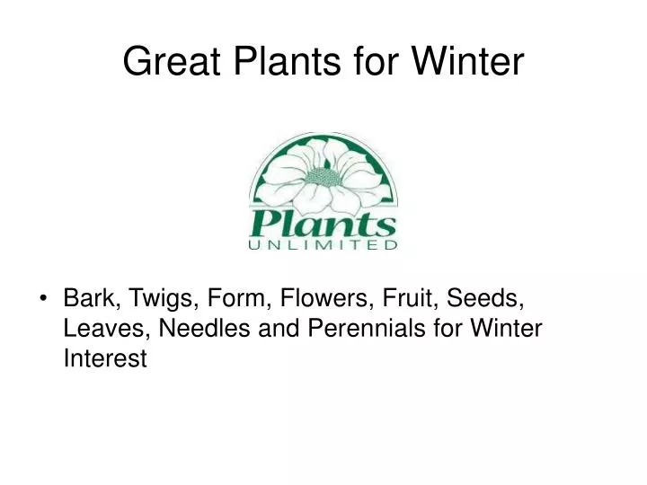 great plants for winter