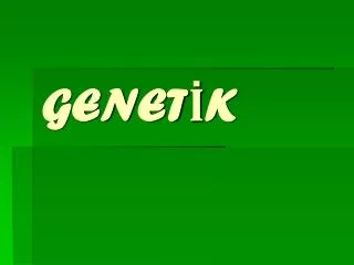 genet k