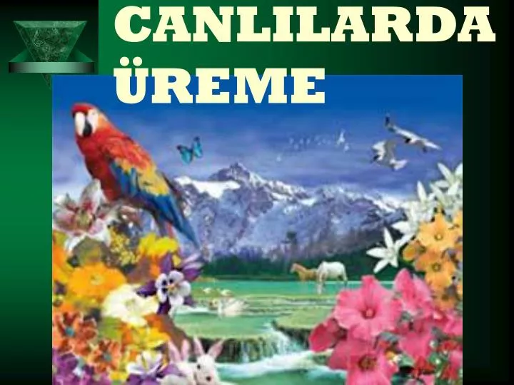 canlilarda reme