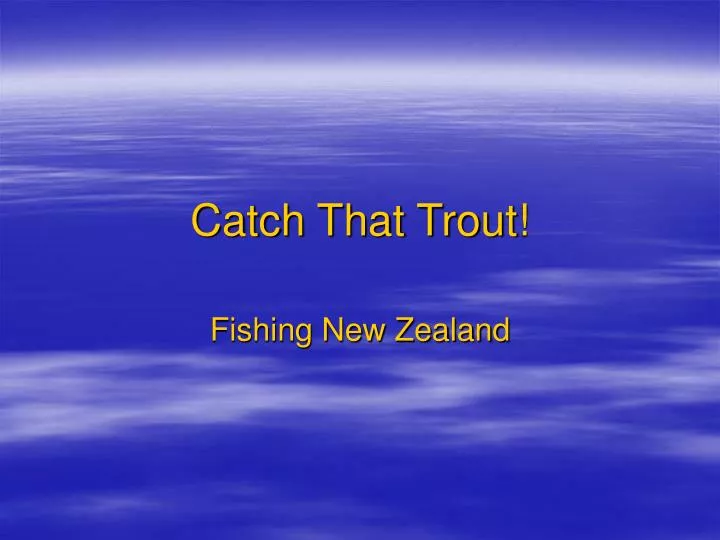 catch that trout