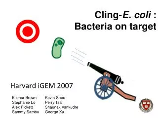 cling e coli bacteria on target