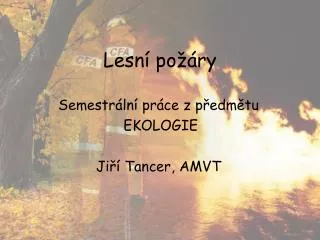 lesn po ry