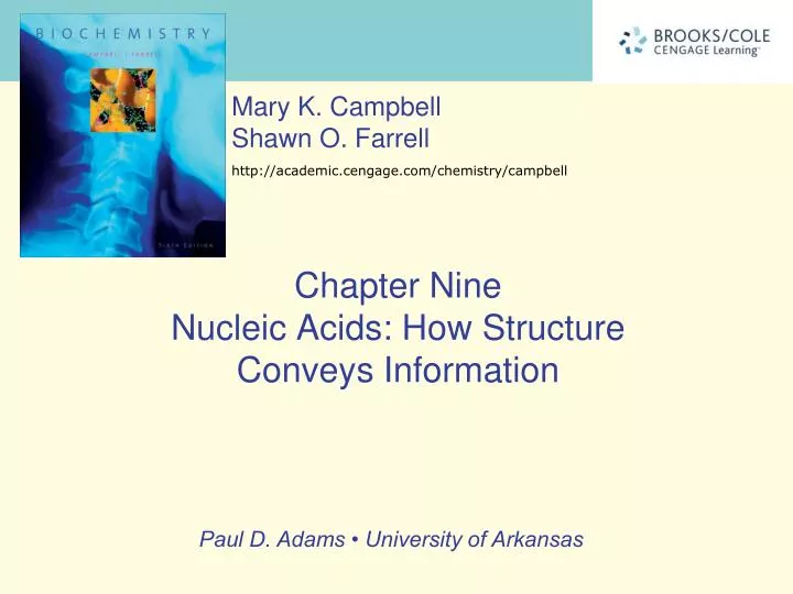 chapter nine nucleic acids how structure conveys information