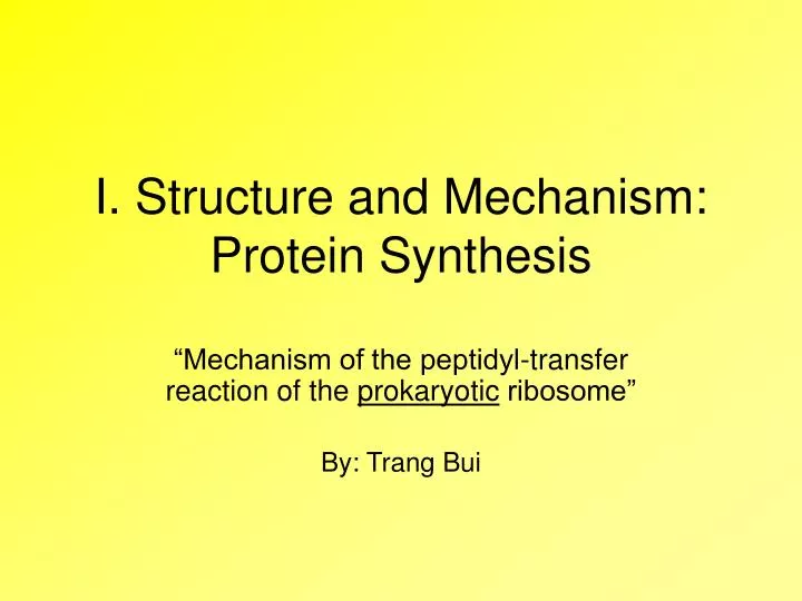 i structure and mechanism protein synthesis