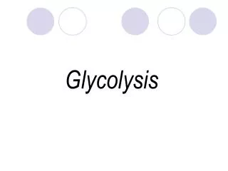 Glycolysis