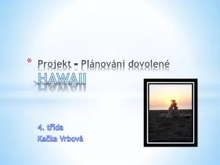 projekt pl nov n dovolen hawaii