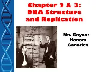 Chapter 2 &amp; 3: DNA Structure and Replication