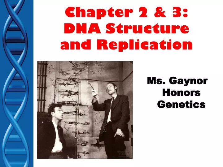 chapter 2 3 dna structure and replication