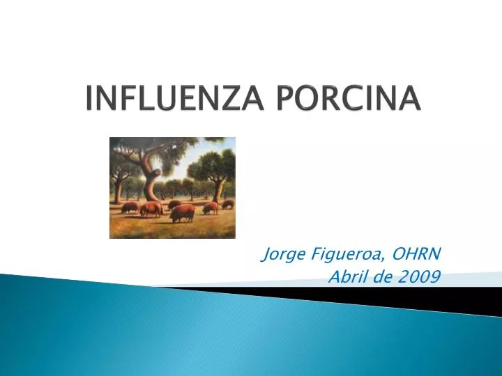 influenza porcina