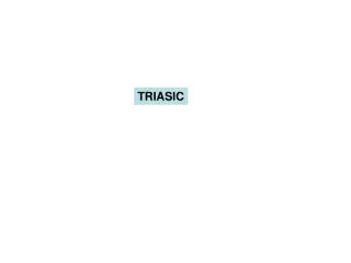 TRIASIC