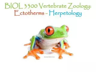 BIOL 3300 Vertebrate Zoology: Ectotherms - Herpetology