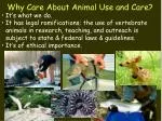 Why Care About Animal Use and Care? - slide 1