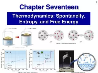 Thermodynamics: Spontaneity, Entropy, and Free Energy