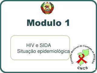 modulo 1