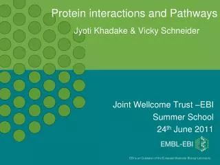 Protein interactions and Pathways