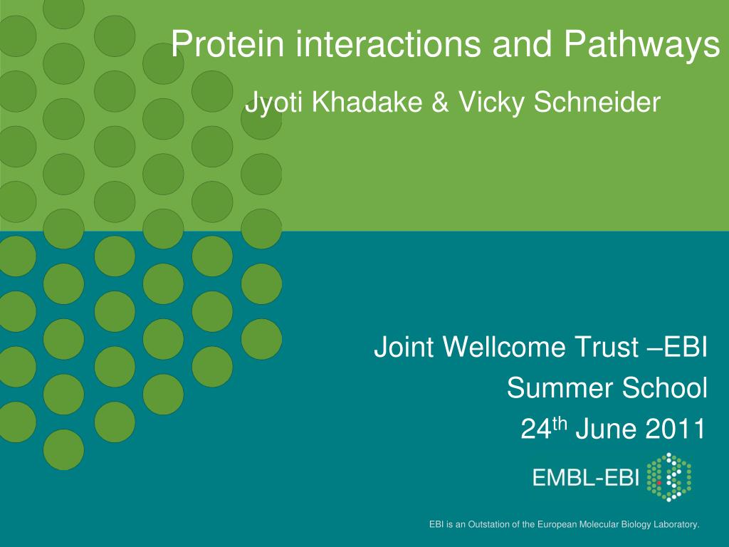 PPT - Protein interactions and Pathways PowerPoint Presentation, free ...