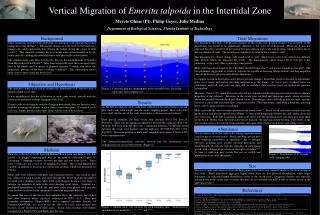 Vertical Migration of Emerita talpoida in the Intertidal Zone