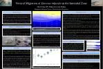 Vertical Migration of Emerita talpoida in the Intertidal Zone: Tidal Response Insights - slide 1