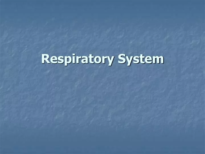 respiratory system