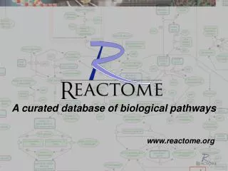 reactome