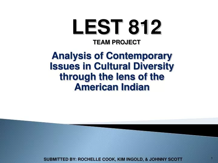 analysis of contemporary issues in cultural diversity through the lens of the american indian