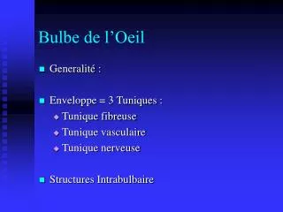bulbe de l oeil