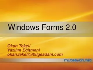 windows forms 2 0