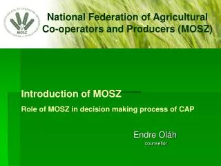 Introduction of MOSZ Role of MOSZ in decision making process of CAP