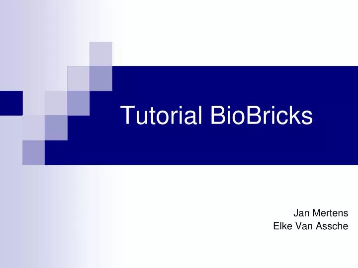 tutorial biobricks