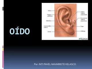 por inti pavel navarrete velasco