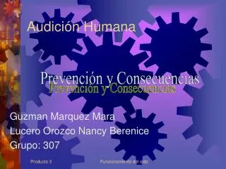 audici n humana