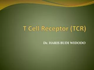 t cell receptor tcr