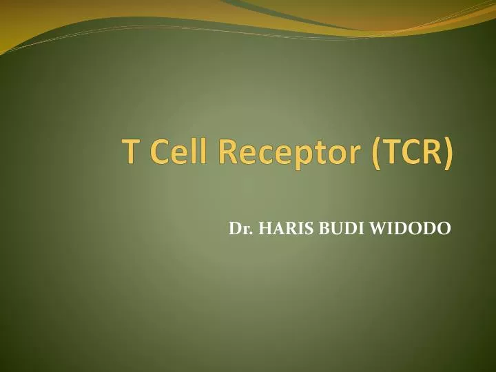 t cell receptor tcr